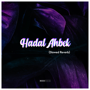 Hadal Ahbek (Slowed Reverb)