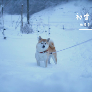 ありがとうあなた