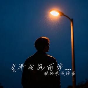 半生风雨学会自愈