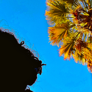 Eu Não Sou Loiro (Speed)