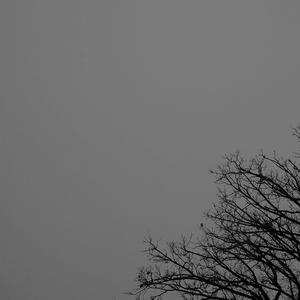 Complication (Remnant)