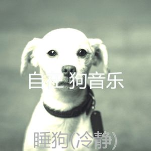 音乐(宠物午睡)
