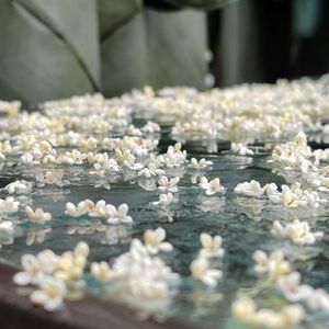 落花时节又逢君（纯歌版）