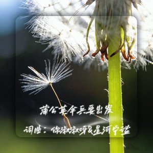 蒲公英伞兵要出发