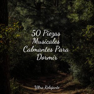 Melodías Románticas