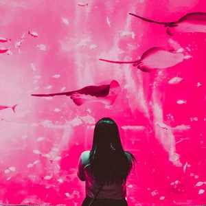 柔和的梦想时刻