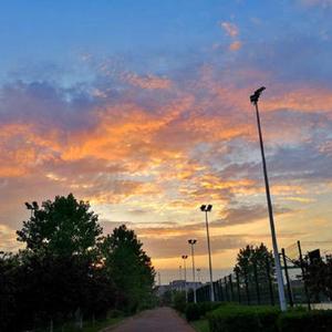 【free】chill boy 1n the school