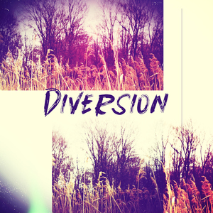 Diversion