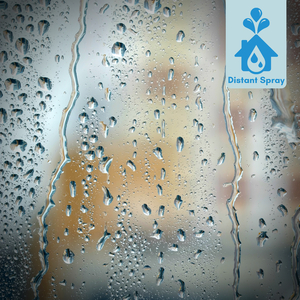 Nourish (Rain)