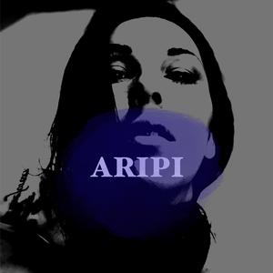 Aripi