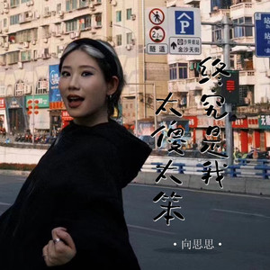 终究是我太傻太笨