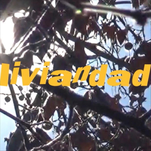 Liviandad