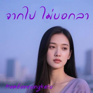 จากไป ไม่บอกลา