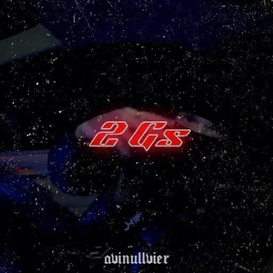 2gs