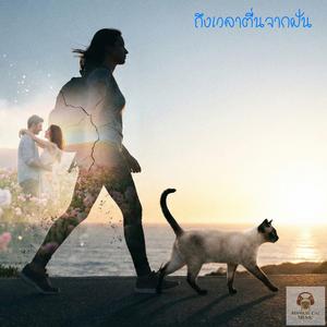 ถึงเวลาตื่นจากฝัน