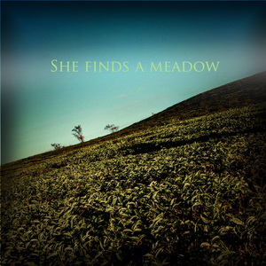 She finds a meadow