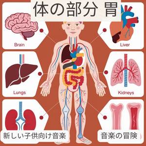 人体の各部位 | 胃 | 新しい子供向け音楽