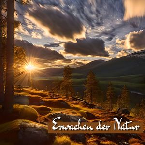 Gleichgewicht der Welt