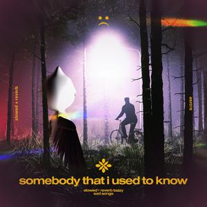 somebody that i used to know - slowed + reverb