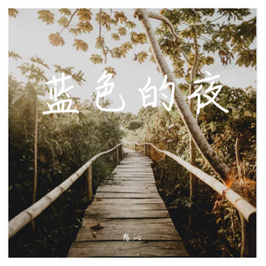 蓝色的夜