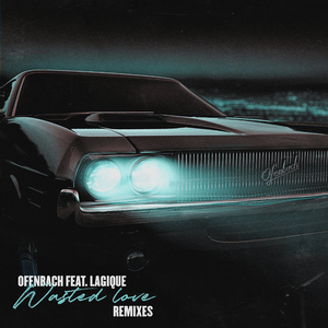 Wasted Love (feat. Lagique) [James Hype Remix]
