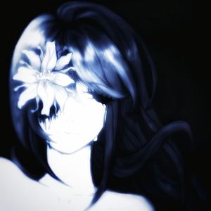 illusion (所有人感受)