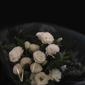 两千公里的思念