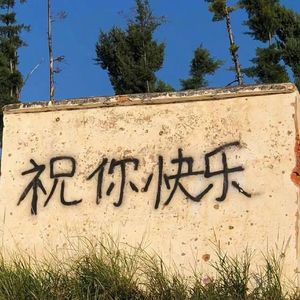 你从未流浪(1.1)