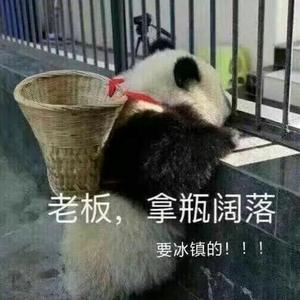 凤尾竹