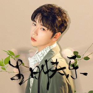 星辰恰似你【刘丰0720个人向生贺】