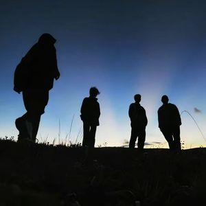 月色下的思念问询