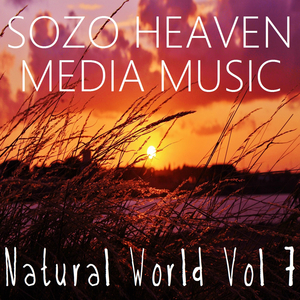 Indian Thunder (Voice over Mix)