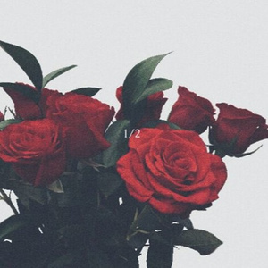 12 [Ballad] (prod. PJ Donald & Kay Austin)