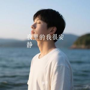 夜里的我很安静