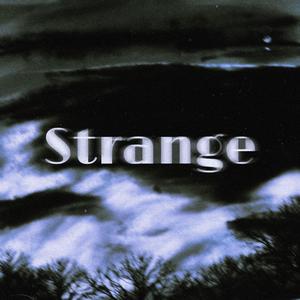 이상하지 않은가（Strange）（翻自 Agust D）