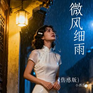 微风细雨 (伤感版伴奏)