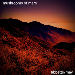 First Steps on Phobos