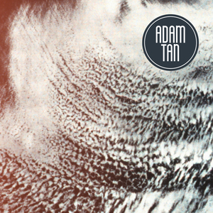 In the Shadow of a Seaside Tree