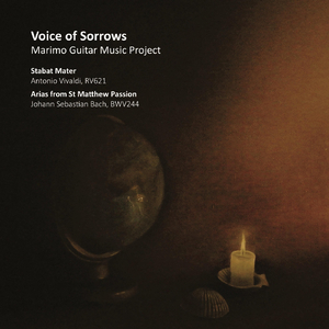 St Matthew Passion, BWV 244, Pt. II, No. 61, Aria: Können Tränen meiner Wangen (Transcribed for Voice and Guitar)