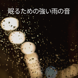 眠るための強い雨の音 (03)