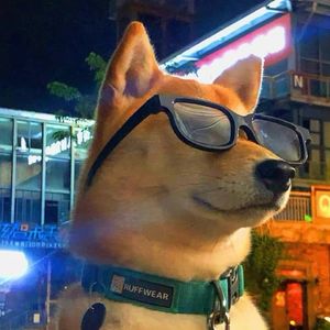 姑苏城山-整曲 伴奏