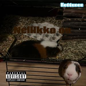 nellikko on