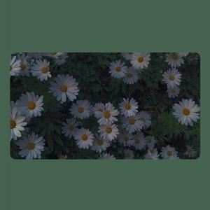 愿一天有人这样唱给我