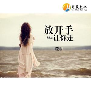 放开手让你走