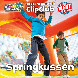 Springkussen