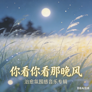 你看你看那晚风