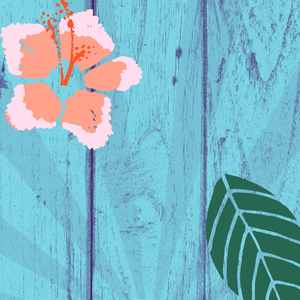 抚慰的编程回忆