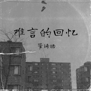 难言的回忆优质版