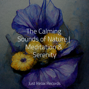 Gleaming Prairie Dreams