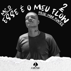 Esse é o Meu Flow 2